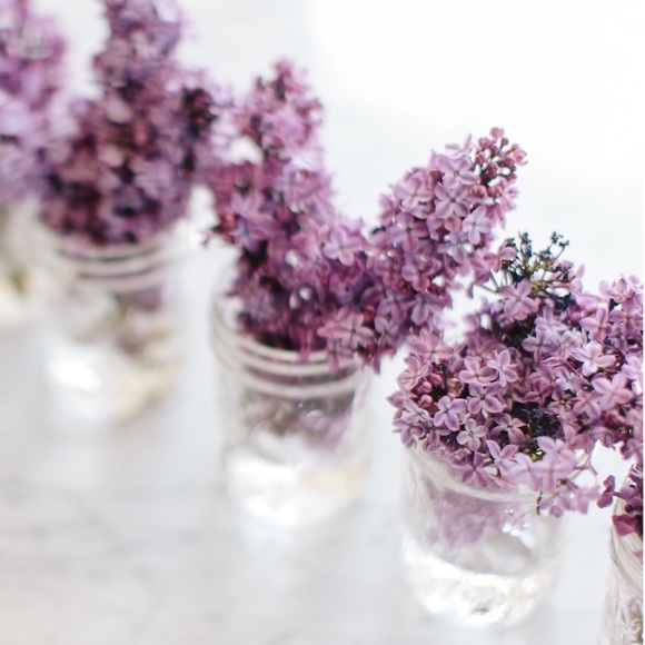 Meet your Posher, Raquel - Picture 1 of 1